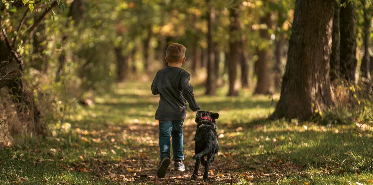 fotografía de un niño paseando por un parque seguido por un perro